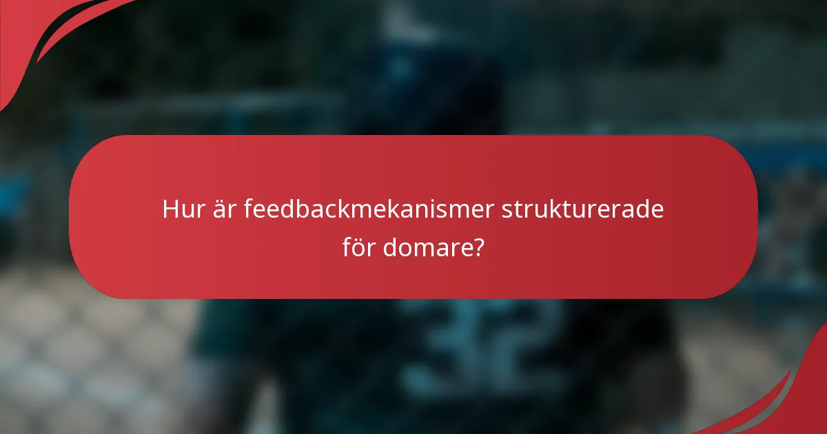 Hur är feedbackmekanismer strukturerade för domare?