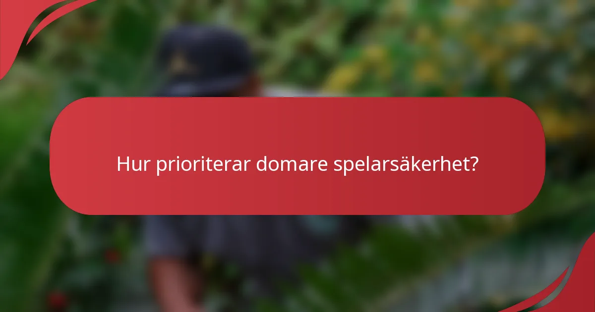 Hur prioriterar domare spelarsäkerhet?