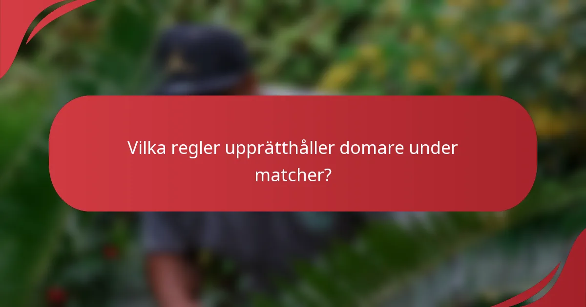 Vilka regler upprätthåller domare under matcher?