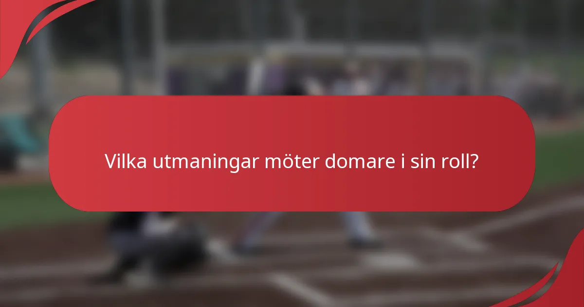 Vilka utmaningar möter domare i sin roll?